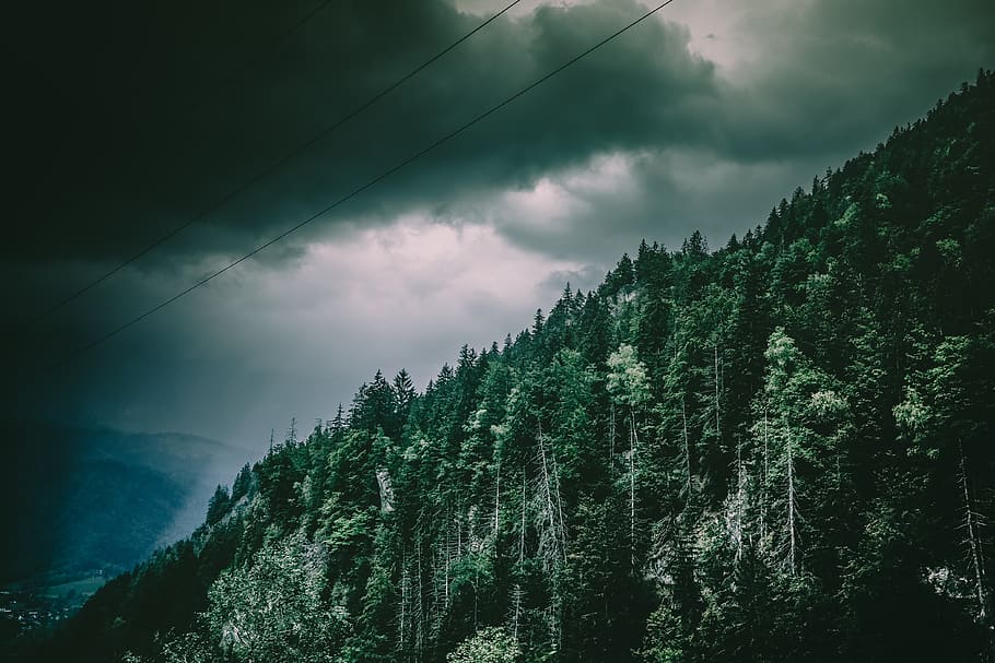 verde, copaci, Munte, noros, mediu inconjurator, pădure, peisaj, natură, acoperit de nori, nor - cer, frumusețe în natură, cer, copac, plantă, scenice - natura, liniște, o scenă liniștită, nici o persoana, furtună, vedere unghiulară joasă, scenă non-urbană, creştere, idilic, în aer liber, putere în natură, de rău augur, 4K