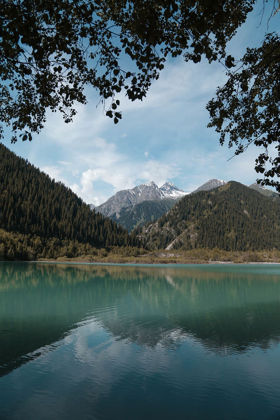 clar, riu, al costat, verd, bosc, núvols, la llum del dia, herba, paisatge, muntanyes, naturalesa, reflexions, escènic, cel, neu, arbres, aigua, boscos, muntanya, bellesa a la natura, escenics - natura, llac, núvol - cel, escena tranquil·la, reflexió, arbre, tranquil·litat, davant del mar, planta, Serra, cap gent, idíl·lic, escena no urbana, dia, cim de muntanya, 5K
