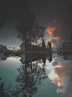 arbre amb fulles verdes, foscor, fosc, algeria, blida, bassal, reflexió, arbre, núvols, vista del carrer, gent, ennuvolat, explorar, carrer, casa, silueta de l'arbre, a l'aire lliure, alba, cel vermell, vespre, aigua, cel, núvol - cel, exterior de l'edifici, arquitectura, estructura construïda, naturalesa, posta de sol, davant del mar, planta, edifici, llac, simetria, cap gent, aigua estancada, bellesa a la natura, Pol · lució, 2K, CC0, domini públic, lliure de regalies