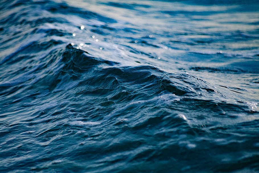 pulito, onda, oceano, chiaro, purezza, ondulazione, acqua salata, mare, acqua di mare, spruzzo, turchese, acqua, nessuno, movimento, sfondi, lungomare, increspato, natura, fotogramma intero, all'aperto, bellezza nella natura, giorno, blu, mammifero acquatico, un animale, subacqueo, avvicinamento, mammifero, marino, 5K
