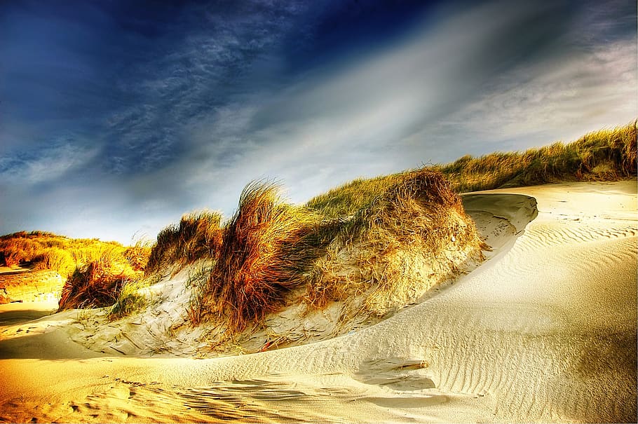 erba sotto nuvoloso, blu, nuvole, dune, erba, paesaggio, silenzioso, sabbia, panoramico, cielo, nuvola - cielo, scenics - natura, terra, natura, bellezza nella natura, nessuno, spiaggia, ambiente, la tranquillità, scena tranquilla, acqua, pianta, scena non urbana, cielo drammatico, duna di sabbia, luce del sole, all'aperto, vento, erba di marram, semi arido, 2K