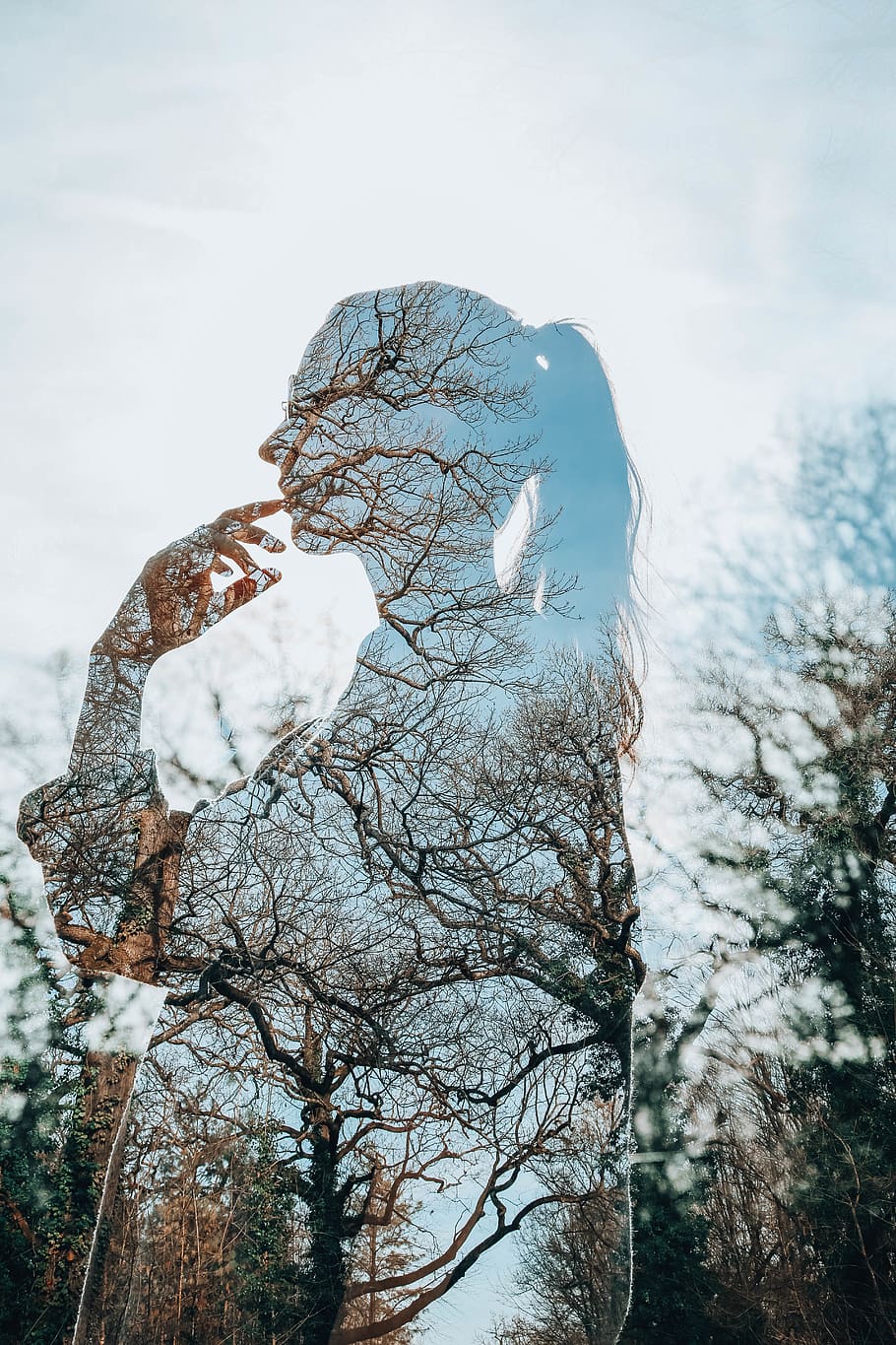 arbre de l'escorça d'arbre, naturalesa, a l'aire lliure, gel, neu, gelades, arbre, paris, França, planta, animal, ocell, noia, doble exposició, bosc, fusta, hivern, avet, abies, temps, cargol, dia, cel, centrar-se en primer pla, cap gent, temperatura de fred, vista d’angle baix, tranquil·litat, bellesa a la natura, primer pla, branca, arbre nu, creixement, animals a la natura, 5K