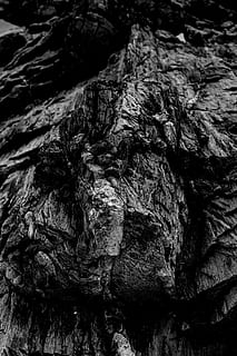 photo en niveaux de gris, Roche, errer, surface, Montagne, littoral, noir et blanc, mer, dur, la nature, difficile, Voyage, de pointe, monde, mère Nature, Lac, plus audacieux, pierre, conception, océan, de mauvaise humeur, texturé, arrière-plans, rugueux, personne, plein cadre, rock - objet, fermer, solide, arbre, formation rocheuse, journée, en plein air, écorce, tronc d'arbre, modèle, tronc, plante, géologie, érodé, 5K, CC0, domaine public, libre de droits
