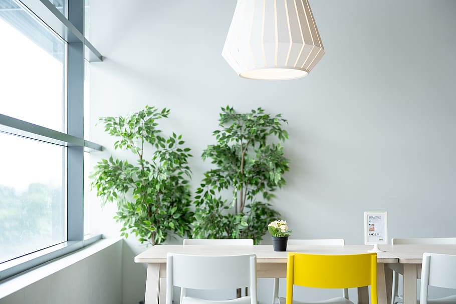 ikea, taula, menjar, cadira, llum, planta, natural, estil de vida, la vida, en viu, vivent, habitació, restaurant, simple, blanc, equips d’il·luminació, a l'interior, llum elèctrica, cap gent, mobles, planta en test, vidre - material, dia, naturalesa, finestra, interior de casa, creixement, Color blanc, color verd, electricitat, il·luminat, planta d'interior, 5K