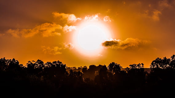 solnedgang, himmel, skyer, sol, natur, eftermiddag, sollys, aften, landskab, Skov, Konnos, cypern, træ, skønhed i naturen, sky - himmel, rolig scene, silhuet, plante, scenics - natur, ro, dramatisk himmel, miljø, orange farve, idyllisk, ingen mennesker, udendørs, lyse, 5K, CC0, offentligt domæne, royaltyfrie