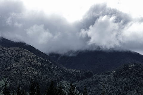 montanha, coberto, branco, nuvens, nublado, luz do dia, floresta, panorama, natureza, cênico, arvores, beleza na natureza, nuvem - céu, scenics - natureza, céu, plantar, meio Ambiente, árvore, cena tranquila, tranquilidade, cena não urbana, ninguém, dia, terra, ao ar livre, cadeia de montanhas, 5K, CC0, domínio público, royalty free