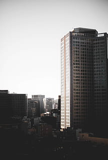 gri beton yapı, bina, Ofis binası, kentsel, Kent, yüksek artış, kasaba, başkent, mimari, ışık, helezon, çan kulesi, kule, açık havada, doğa, şehir merkezinde, ofis, seul, karanlık, Güney Kore, apartman binası, dış yapı, yapılı yapı, gökyüzü, insansız, ofis binası dış, uzun - yüksek, açık hava, yerleşim bölgesi, kopya alanı, gökdelen, modern, Cityscape, Güneş ışığı, gün, apartman, Finans bölgesi, 5K, CC0, kamu malı, telif ücretsiz