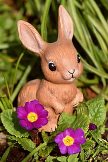 Pasqua, conill de Pasqua, conill, llebre, osterkarte, salutació de pasqua, targeta de felicitació, dolç, bonic, figura, flor, planta amb flors, planta, animal, primer pla, naturalesa, conill - animal, mamífer, cap gent, representació animal, temes d'animals, art i artesania, representació, frescor, un animal, bellesa a la natura, creixement, dia, fragilitat, vulnerabilitat, cap de flor, 2K, CC0, domini públic, lliure de regalies