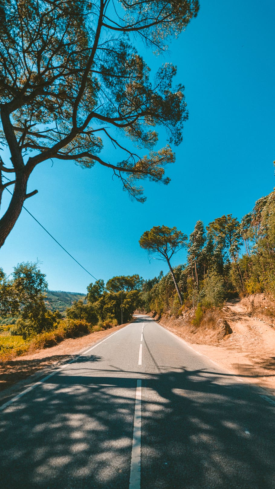 sort vejsti, grus, grusvej, vej, Portugal, peso da régua, natur, landskab, udendørs, blå, hovedvej, plante, træ, flora, nåletræ, himmel, transportmidler, retning, vejen frem, skilt, vejmærkning, symbol, mærkning, dag, sollys, skyfri himmel, ingen mennesker, faldende perspektiv, skønhed i naturen, ro, skillelinje, 5K