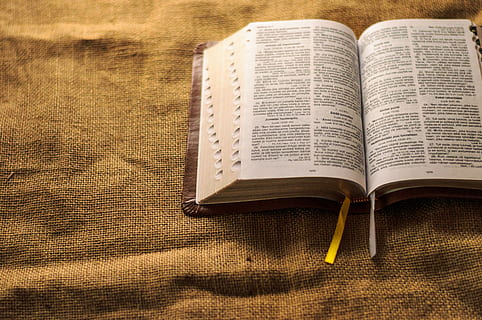 llibre obert, publicació, llibre, obert, cap gent, natura morta, vista d’angle alt, a l'interior, primer pla, pàgina, tèxtil, dia, paper, llum solar, educació, literatura, taula, naturalesa, saviesa, patró, 4K, CC0, domini públic, lliure de regalies