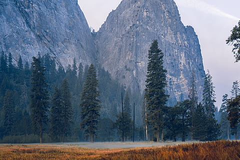 prázdný, silnice, obklopen, stromy, Příroda, hora, Spojené státy, yosemitské údolí, pole, strom, les, tráva, venku, zkoumání, modrý, útes, turistika, dřevoryt, pohoří, hřeben, vrchol, nebe, dobrodružství, rostlina, přistát, scenics - příroda, krása v přírodě, nikdo, klidné scény, krajina, životní prostředí, klid, mimoměstské scény, den, růst, idylický, borovice, borové lesy, 8K, CC0, veřejná doména, bez autorských práv