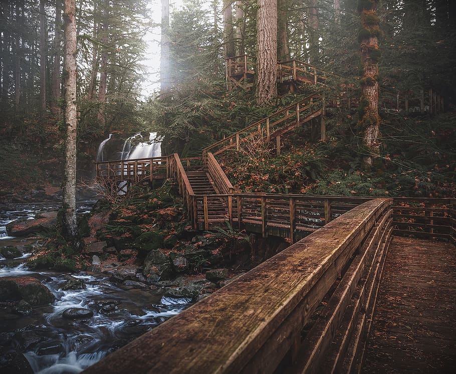 marró, blanc, casa, cos, pintura a l'aigua, la llum del dia, medi ambient, flux, bosc, paisatge, naturalesa, sender natural, camí, roques, escènic, pedres, lapse de temps, arbres, aigua, cascades, boscos, zigzag, arbre, planta, terra, material de fusta, cap gent, dia, creixement, tranquil·litat, bellesa a la natura, escena no urbana, escena tranquil·la, fusta, tronc de l'arbre, arquitectura, escenics - natura, estructura construïda, a l'aire lliure, passarel·la, 2K