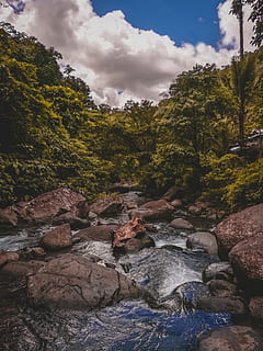 panjang, fotografi eksposur, tubuh, air, siang hari, lingkungan Hidup, mengalir, hutan, pemandangan, gunung, alam, batu, indah, aliran, selang waktu, pohon, menanam, keindahan di alam, awan - langit, padat, batu - benda, langit, scenics - alam, ketenangan, air mengalir, tidak ada orang, pertumbuhan, hari, adegan yang tenang, sungai, di luar rumah, aliran - air yang mengalir, 4K, CC0, domain publik, bebas royalti