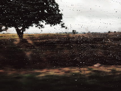 Fenster, Wasser, Baum, Regen, Wetter, Sturm, Landschaft, Wald, Bewegung, verwischen, Regenstimmung, Autofahrt, Fahrt, Autofenster, Regentropfen, regnet, regnerisch, regnerischer Tag, Natur, draußen, fallen, Hintergründe, Winter, nass, Schnee, Jahreszeit, schwarze Farbe, Nahansicht, abstrakt, kalte Temperatur, keine Leute, schneit, 2K, CC0, gemeinfrei, lizenzfrei