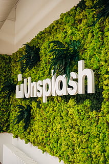 logotip insolvent, color verd, text, arbre, planta, guió occidental, comunicació, cap gent, signe, creixement, lletra majúscula, dia, naturalesa, a l'aire lliure, nombre, Color blanc, verd, fullatge, exuberant fullatge, arquitectura, informació, cobertura, 5K, CC0, domini públic, lliure de regalies