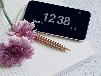 espai, gris, iphone 6, margarida, flor, port de coffs, Austràlia, bolígraf, iphone, smartphone, telèfon, telèfon mòbil, quadern, rellotge, paper, primer pla, tecnologia, rosa, escriure, detall, accessoris, planta, margarides, planta amb flors, text, comunicació, color rosa, vista d’angle alt, cap gent, guió occidental, taula, a l'interior, frescor, natura morta, llibre, publicació, bellesa a la natura, telèfon intel·ligent, naturalesa, cap de flor, porpra, missatge, 4K, CC0, domini públic, lliure de regalies