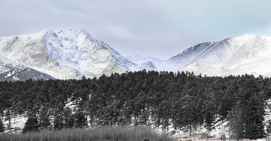 neu, cobert, muntanyes, ennuvolat, cel, núvols, fred, durant el dia, herba, alt, gel, paisatge, cim de muntanya, fotografia de natura, Muntanyes rocoses, escènic, muntanyes cobertes de neu, nevat, arbres, fotografia gran angular, hivern, boscos, muntanya, temperatura de fred, arbre, Serra, bellesa a la natura, medi ambient, escenics - natura, planta, muntanya nevada, cap gent, naturalesa, arbre de coníferes, escena tranquil·la, tranquil·litat, destinacions de viatge, pi, a l'aire lliure, bosc de pi, 5K