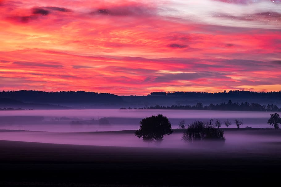 verde, hojeado, trenza, cubierto, nieblas, retroiluminado, nubes, amanecer, noche, niebla, brumoso, fondo de pantalla hd, paisaje, ligero, reflexión, recortado, cielo, Dom, puesta de sol, arboles, paisajes - naturaleza, escena tranquila, belleza en la naturaleza, tranquilidad, nube - cielo, agua, lago, árbol, planta, idílico, escena no urbana, nadie, silueta, naturaleza, ambiente, al aire libre, púrpura, 5K