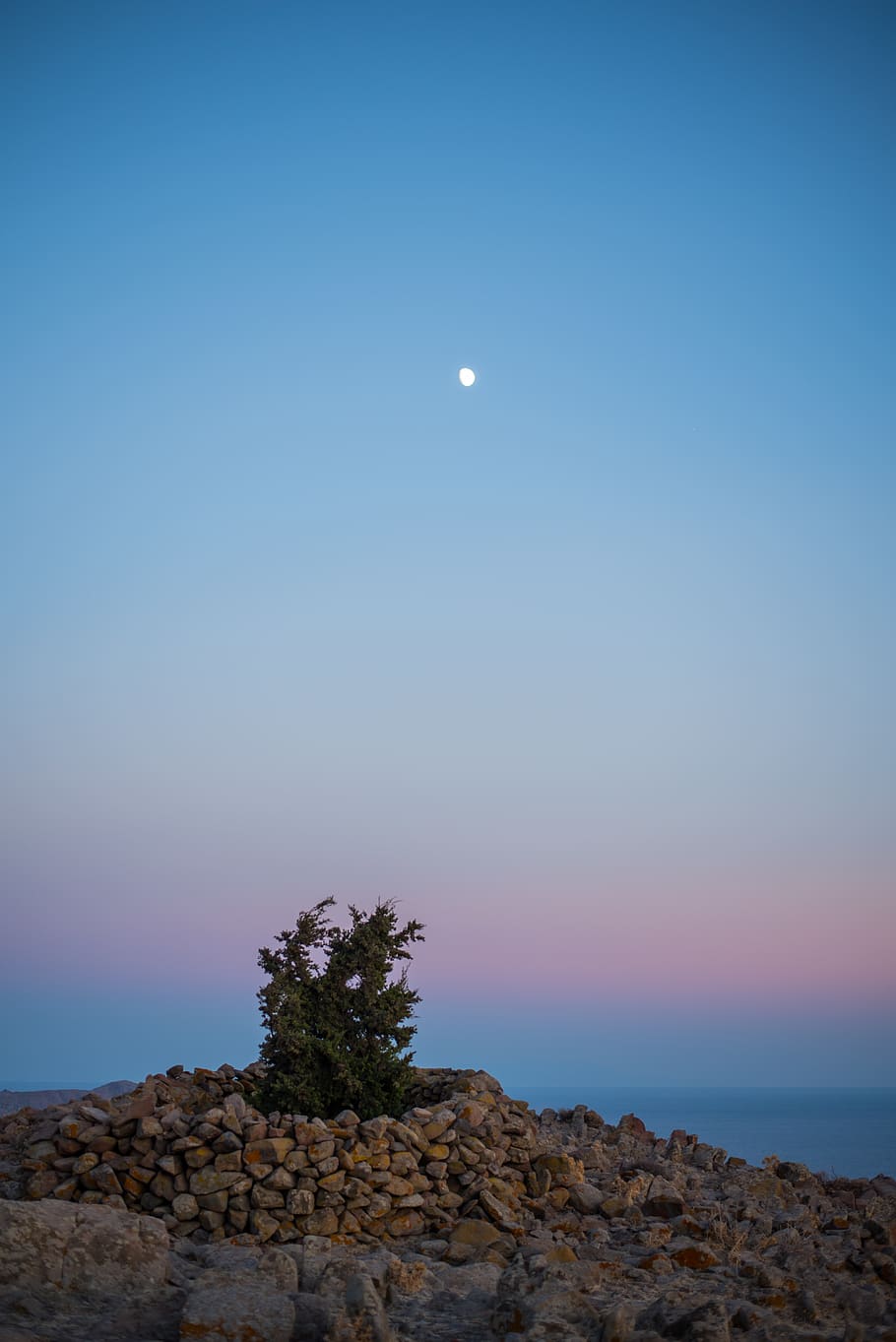 planta verda, naturalesa, a l'aire lliure, Grècia, lluna, skala eressos, lesvos, astronomia, espai, univers, espai exterior, nit, cel, mar, muntanya, posta de sol, arbre, planta, skala eressos, caminada, cel clar, eressos, bellesa a la natura, tranquil·litat, escena tranquil·la, escenics - natura, cap gent, rock, sòlid, rock - object, blau, idíl·lic, terra, vespre, horitzó sobre l’aigua, lluna plena, llum de la lluna, 5K
