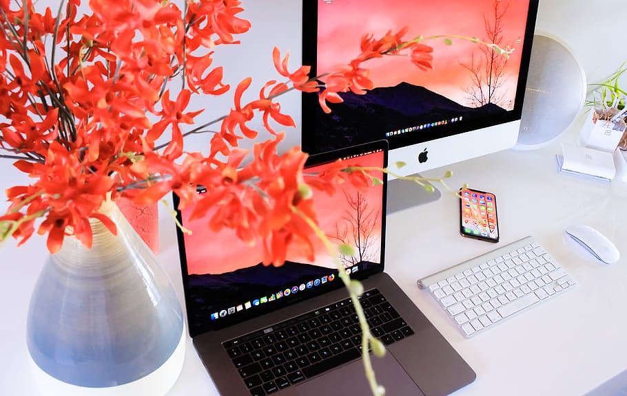 macbook, pro, vendt, computer, tastatur, skrivebord, pc, blomst, Pretoria, bakkerne Eco Golf Estate, Sydafrika, bærbar, elektronik, bord, møbel, macbook pro, airpod, øretelefon, iphone, vase, imac, plakat, plante, teknologi, ingen mennesker, trådløs teknologi, meddelelse, indendørs, forretning, blomstrende plante, natur, kontor, orange farve, forbindelse, tæt på, 5K