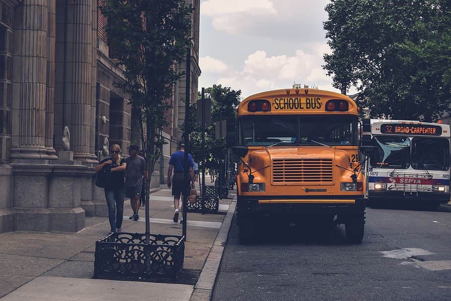 jaune, bus scolaire, à côté de, gris, béton, bâtiment, architecture, les autobus, Commerce, lumière du jour, lumières, chaussée, personnes, route, trottoir, rue, ville, Système de transport, des arbres, Urbain, Véhicules, transport, mode de transport, extérieur du bâtiment, structure construite, véhicule terrestre, texte, Hommes, journée, transport public, Vrais gens, autobus, ciel, groupe de personnes, arbre, la nature, modes de vie, en plein air, 5K