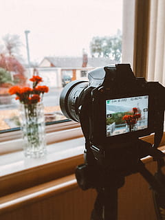 Černá, dslr fotoaparát, přijímání, fotografie, oranžový, květiny, Průhledná, skleněná váza s květinami, akce, Fotoaparát, digitální fotoaparát, digitální zařízení, dslr, zařízení, fotografování, založit, technologie, uvnitř, okno, nikdo, zaměřit se na popředí, fotografická témata, fotoaparát - fotografické vybavení, rostlina, detail, stůl, kvetoucí rostlina, domácí interiér, Příroda, váza, den, květ, focení, 4K, CC0, veřejná doména, bez autorských práv