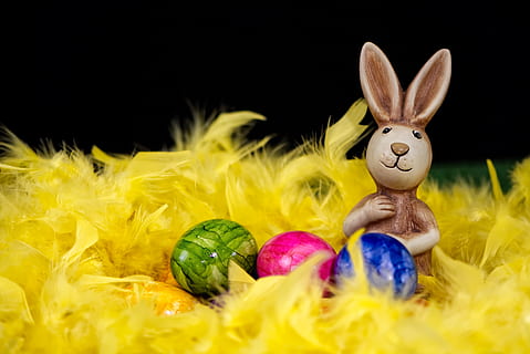 Osterhase, Ostereier, Ostern, Grußkarte, Feder, Festival, Hase, Zahl, lustig, Dekoration, Frühling, Osterthema, süß, Osterdekoration, Deko, Ostergrüße, Farbe, deco-hase, bunt, Ostergruß, Feier, Ei, Osterei, Lebensmittel, Darstellung, Ferienveranstaltung, Urlaub, Kaninchen - Tier, Essen und Trinken, mehrfarbig, Religion, Kunst und Handwerk, Tierdarstellung, drinnen, keine Leute, schwarzer Hintergrund, 5K