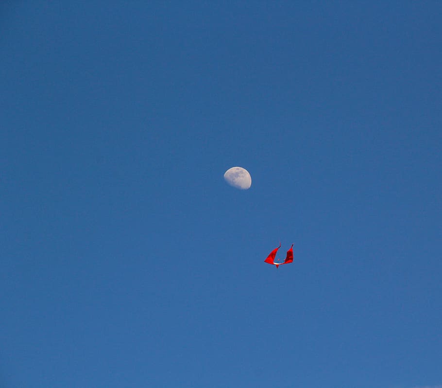 cometa, aquilone, blu, cielo, cielo sereno, volante, copia spazio, Inquadratura dal basso, Palloncino, natura, nessuno, mezz'aria, soleggiato, Luna, giorno, rosso, all'aperto, veicolo aereo, la libertà, aquilone - giocattolo, la tranquillità, ambiente, 2K