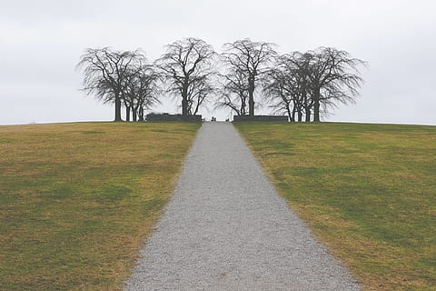 grå, himmel, græs, sti, grus, trek, træer, plante, træ, vejen frem, retning, natur, miljø, Mark, jord, bare træ, landskab, skønhed i naturen, ingen mennesker, scenics - natur, forsvindingspunkt, dag, faldende perspektiv, rolig scene, udendørs, treelined, 4K, CC0, offentligt domæne, royaltyfrie
