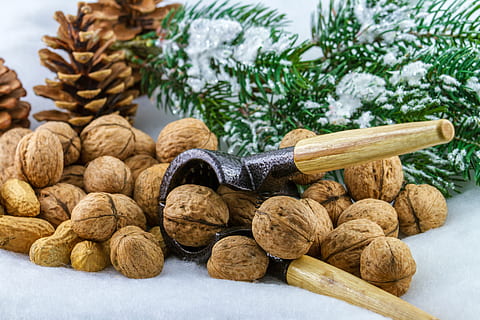 nozes, advento, quebra-nozes, época de Natal, comer, Comida, noz, comida e bebida, Alimentação saudável, bem-estar, árvore, porca - comida, grande grupo de objetos, ninguém, frescura, focar em primeiro plano, amêndoa, especiaria, natureza, madeira - material, ainda vida, fruta, Castanho, plantar, Pinheiro, cardamomo, árvore conífera, 5K, CC0, domínio público, royalty free