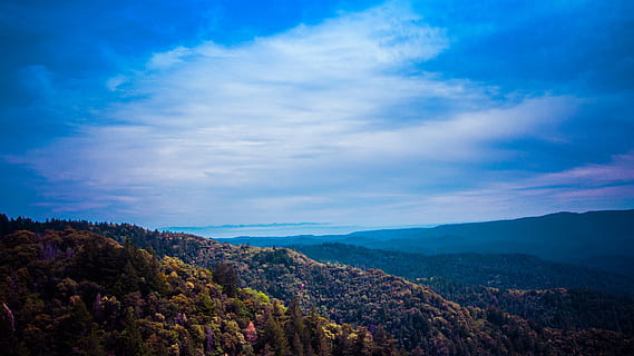 træ, vandretur, Skov, himmel, vejr ca., california, scenics - natur, sky - himmel, skønhed i naturen, bjerg, ro, miljø, rolig scene, plante, landskab, natur, ingen mennesker, dag, ikke-urbane scene, idyllisk, udendørs, høj vinkel visning, bjergkæde, vækst, lave om, 4K, CC0, offentligt domæne, royaltyfrie