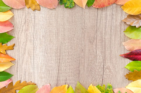 assorted, leaves, piled, border, brown, wooden, board, background, bright, close-up, colorful, colors, design, environment, fall leaves, frame, green, HD wallpaper, nature, red, wood, yellow, freshness, no people, table, directly above, indoors, leaf, plant part, food and drink, food, wood - material, still life, healthy eating, copy space, wellbeing, plant, high angle view, fruit, flowering plant, change, chopped, blank, 4K