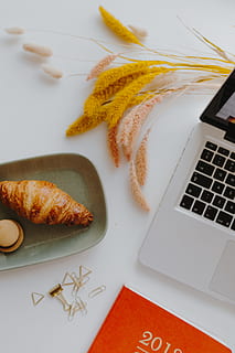 femmina, scrivania, arancia, taccuino, zucche, il computer portatile, computer, macbook, spazio di lavoro, ufficio, ufficio a casa, autunno, settembre, ottobre, zucca, croissant, 2019, calendario, organizzatore, alunno, natura morta, in casa, tavolo, cibo e bevande, tecnologia, nessuno, tecnologia wireless, comunicazione, connessione, vista dall'alto, cibo, freschezza, avvicinamento, mangiare sano, rappresentazione, creatività, dispositivo di informazione portatile, bere, tastiera, spuntino, 4K, CC0, dominio pubblico, privo di copyright