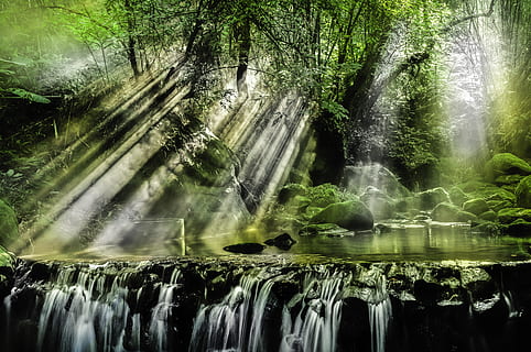 cascadas, rodeado, arboles, hermoso, ambiente, fluir, bosque, paisaje, movimiento, naturaleza, rocas, escénico, corriente, luz del sol, lapso de tiempo, agua, mojado, árbol, cascada, belleza en la naturaleza, paisajes - naturaleza, planta, larga exposición, movimiento borroso, agua que fluye, nadie, día, tierra, rock, frente al mar, sólido, roca - objeto, al aire libre, fluido, la caída del agua, selva, poder en la naturaleza, 5K, CC0, dominio público, libre de derechos