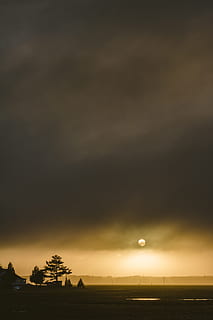 céu, nuvens, lua, leve, noite, árvore, plantar, natureza, exterior, Visão, chão, scenics - natureza, beleza na natureza, nuvem - céu, cena tranquila, tranquilidade, ninguém, por do sol, meio Ambiente, panorama, silhueta, ao ar livre, terra, campo, cena não urbana, idílico, 5K, CC0, domínio público, royalty free