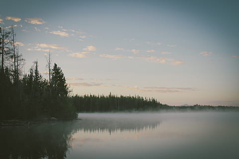 himmel, skyer, træer, Skov, udendørs, sø, tåge, dis, diset, vand, natur, ro, rolig scene, skønhed i naturen, scenics - natur, træ, afspejling, plante, solnedgang, ikke-urbane scene, sky - himmel, idyllisk, ingen mennesker, havnefronten, vækst, refleksions søen, 5K, CC0, offentligt domæne, royaltyfrie