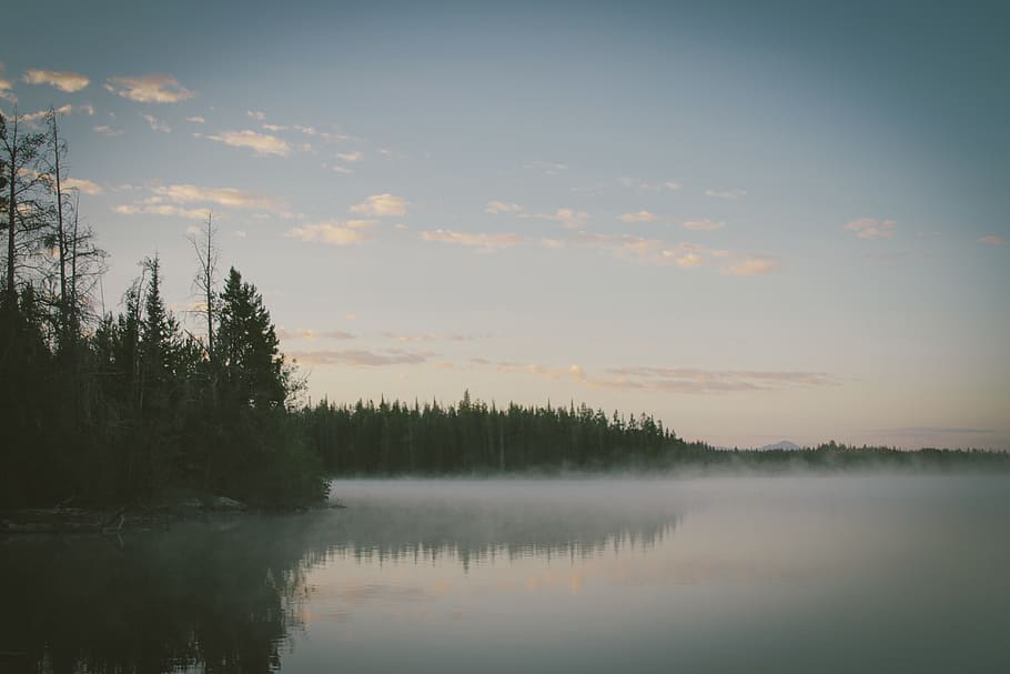 himmel, skyer, træer, Skov, udendørs, sø, tåge, dis, diset, vand, natur, ro, rolig scene, skønhed i naturen, scenics - natur, træ, afspejling, plante, solnedgang, ikke-urbane scene, sky - himmel, idyllisk, ingen mennesker, havnefronten, vækst, refleksions søen, 5K