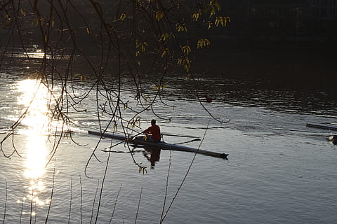 roning, flod, sol, vand, afspejling, rigtige mennesker, sø, nautiske fartøj, en person, natur, havnefronten, herrer, livsstil, transportmidler, transportform, fritidsaktivitet, skønhed i naturen, silhuet, træ, dag, udendørs, fisker, 5K, CC0, offentligt domæne, royaltyfrie