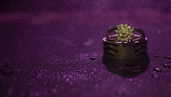 goldfarbener Ring, lila, keine Leute, selektiver Fokus, Nahansicht, drinnen, Feier, Natur, Veranstaltung, einzelnes Objekt, Schmuck, Stillleben, Diamant - Edelstein, Ring, Emotion, pinke Farbe, Wasser, farbiger Hintergrund, Frische, dunkel, 4K, CC0, gemeinfrei, lizenzfrei