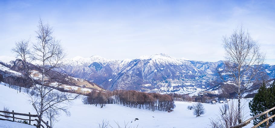 montagne, alberi, montagna, freddo, albero, inverno, paesaggio, la neve, snow-capped, gamma, collina, recinto, scenario, panoramico, albero nudo, nube, distanza, natura, bianca, temperatura fredda, bellezza nella natura, scenics - natura, cielo, pianta, montagna innevata, ambiente, scena tranquilla, giorno, la tranquillità, Colore bianco, copertura, nessuno, catena montuosa, 8K