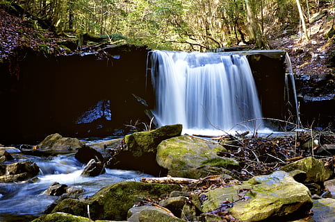 peace, tranquility, waterfall, stream, rock, solid, rock - object, forest, water, plant, tree, nature, flowing water, motion, beauty in nature, no people, long exposure, scenics - nature, flowing, day, land, moss, outdoors, rainforest, falling water, 1080P, CC0, public domain, royalty free