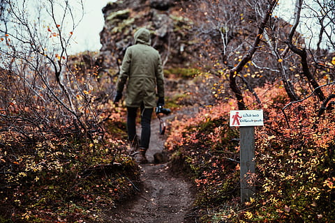 hiker, hooded jacket, carrying, camera, hiking, bush, cloudy, cold, fall, hill, jacket, landscape, meadow, mountain, outdoors, path, pathway, scenic, steep, trees, walking, young, autumn, bushes, day, field, foliage, hike, leaves, man, misty, nature, one, open, outdoor, person, sods, trail, winter, tree, plant, rear view, one person, communication, sign, land, forest, real people, lifestyles, leisure activity, direction, men, text, the way forward, growth, 2K, CC0, public domain, royalty free