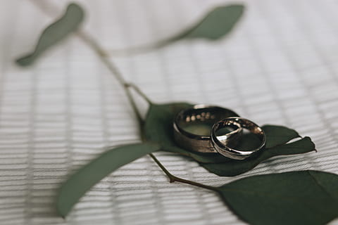 zwei, silberfarbene Eheringe, Nahansicht, drinnen, keine Leute, Blatt, Pflanze, Pflanzenteil, Natur, Brille, High Angle View, Schatten, selektiver Fokus, Stillleben, Schmuck, Ring, Veröffentlichung, zwei Objekte, Blume, direkt darüber, Liebe, Brillen, 5K, CC0, gemeinfrei, lizenzfrei