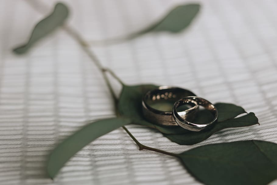 zwei, silberfarbene Eheringe, Nahansicht, drinnen, keine Leute, Blatt, Pflanze, Pflanzenteil, Natur, Brille, High Angle View, Schatten, selektiver Fokus, Stillleben, Schmuck, Ring, Veröffentlichung, zwei Objekte, Blume, direkt darüber, Liebe, Brillen, 5K