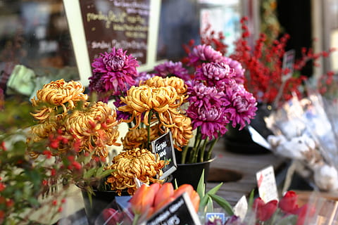 încă, articole, lucruri, flori, buchet, băcănie, piaţă, vinde mărunțișuri, colorate, bokeh, floare, planta cu flori, plantă, prospeţime, frumusețe în natură, fragilitate, vulnerabilitate, aranjament floral, cu amănuntul, natură, alegere, a închide, nici o persoana, variație, cap de floare, petală, de vânzare, zi, în aer liber, buchet de flori, afișare cu amănuntul, 5K, CC0, domeniu public, fără drepturi de autor