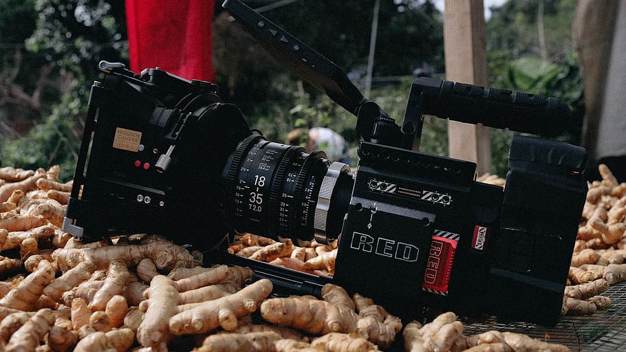 càmera dslr negra, electrònica, càmera, lent de la càmera, càmera digital, persona, humà, planta, càmera vermella, director de fotografia, cinematografia, caixa mat, engranatges de cinema, càmeres vermelles, sigma cine, equipament de pel·lícules, producció cinematogràfica, r3d, lents de càmera, cineasta, sigma, menjar, menjar i beguda, cap gent, càmera - equip fotogràfic, tecnologia, centrar-se en primer pla, text, temes de fotografia, primer pla, dia, mercat, venda al detall, nombre, cultura i entreteniment artístic, frescor, a l'aire lliure, a la venda, Paradeta, natura morta, industria del cinema, 5K