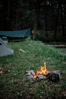 bål, grå, kuppel telt, dagtimerne, ild, lejrbål, Skov, træ, lejr, telt, Camping, udendørs, græs, klippe, brand ring, flamme, campingplads, grøn, natur, nat, mørk, aften, lille, brand - naturligt fænomen, Brænde, efterår, brænding, varme - temperatur, vandring, sommer, blad, ingen mennesker, ferier, lempelse, træ - materiale, sæson, gul, rød, 5K, CC0, offentligt domæne, royaltyfrie