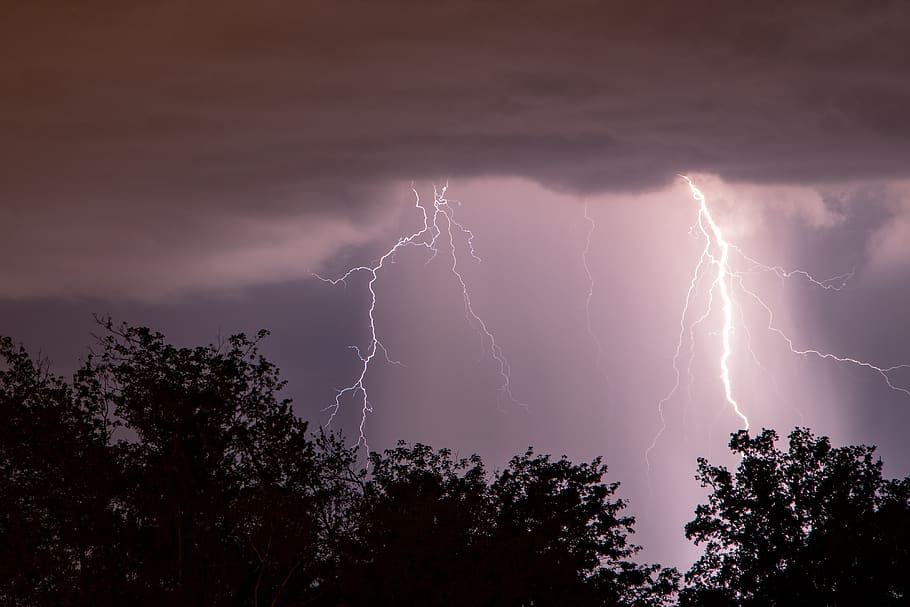 blitz, tordenvejr, skyer, storm, vejr, lynglimt, nat, dramatisk, risiko, energi, lyn, magt i naturen, sky - himmel, træ, himmel, strøm, plante, skønhed i naturen, natur, lav vinkel visning, silhuet, ingen mennesker, udendørs, belyst, scenics - natur, dramatisk himmel, lilla, 4K