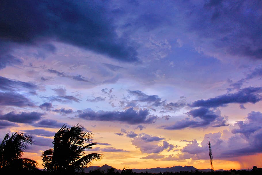 foto, núvols cirrus, daurat, hores, núvols, arbres de coco, fosc, dramàtica, tarda, cel de la nit, sol de tarda, sol daurat, paisatge, naturalesa, escènic, cel, posta de sol, arbres, violeta, núvol - cel, arbre, bellesa a la natura, escenics - natura, tranquil·litat, silueta, escena tranquil·la, planta, Palmera, cap gent, clima tropical, vista d’angle baix, cel dramàtic, color taronja, idíl·lic, a l'aire lliure, creixement, palmera de coco, cel romàntic, fulla de palma, 5K