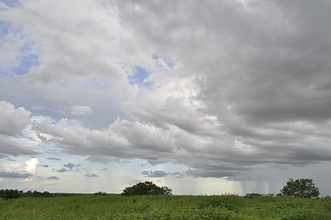 céu, nuvem, panorama, nuvens, dia, futuro, natural, fofa, ar, horizonte, campo, gramado, árvore, nuvem - céu, plantar, beleza na natureza, cena tranquila, tranquilidade, scenics - natureza, meio Ambiente, terra, natureza, ninguém, crescimento, cor verde, ao ar livre, cena não urbana, 2K, CC0, domínio público, royalty free
